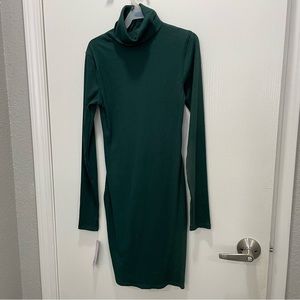 Bodycon Turtleneck Dress